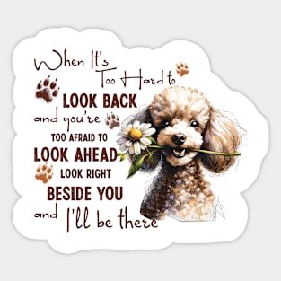 Poodle When It's Too Hard to Look Back Sticker